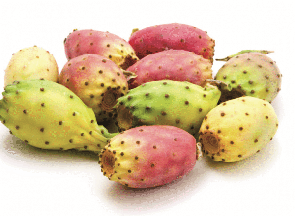 Figues-de-barbarie-e1469199204711