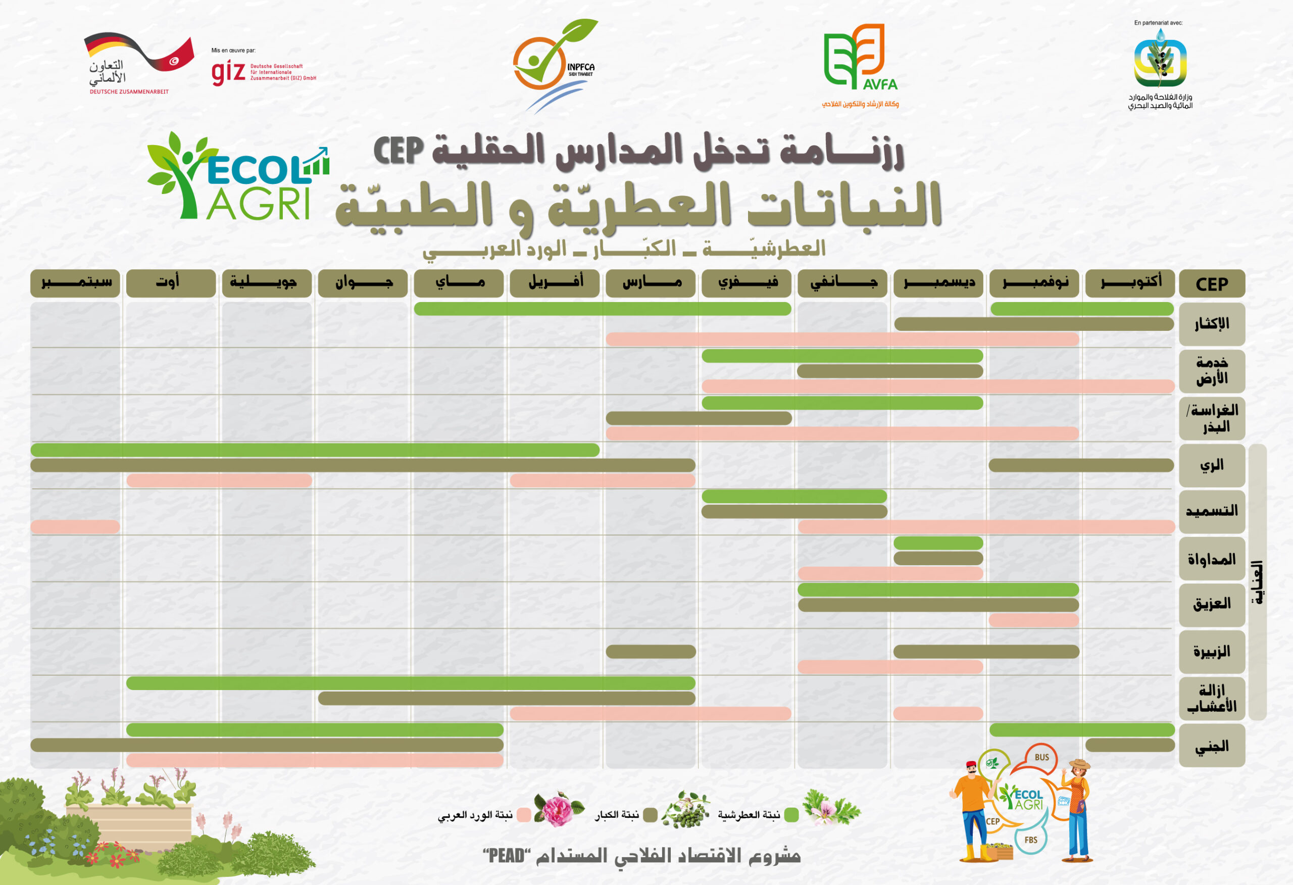 Outil de formation CEP N°3 Calendrier CEP PAM